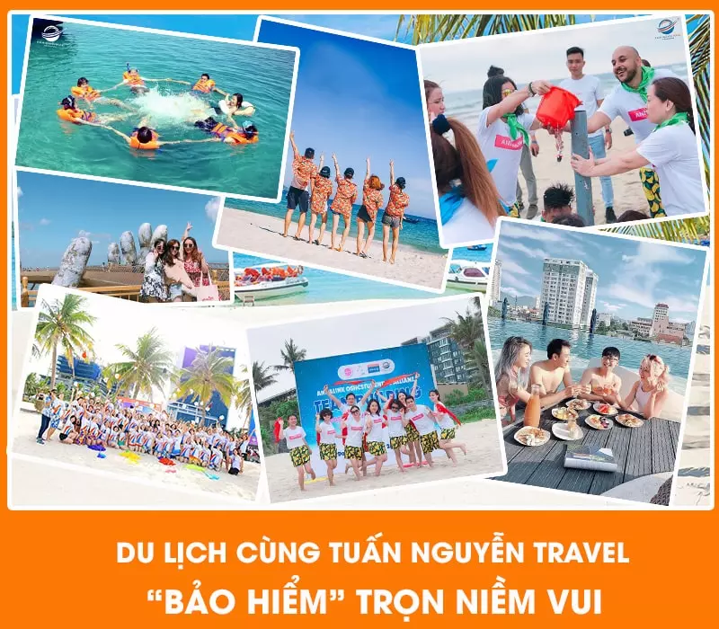 Tour Hạ Long