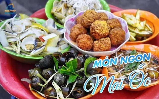 Món ngon ở Mai Ốc - quán ăn ngon ở Vinh