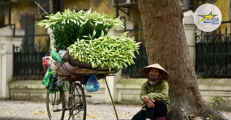 Hoa loa kèn xúng xính trên xe đạp được người dân chở xuống phố Hà Nội