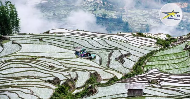 Ruộng bậc thang mùa nước đổ tại Sapa