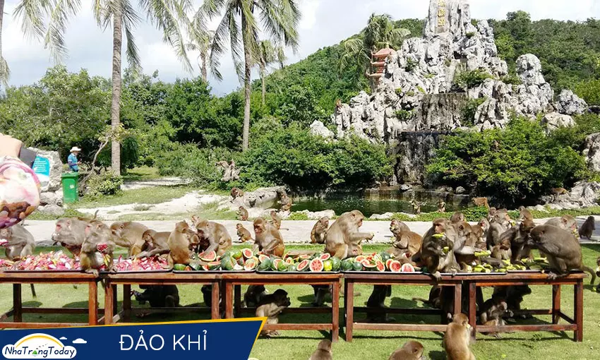 Tour Nha Trang Đà Lạt