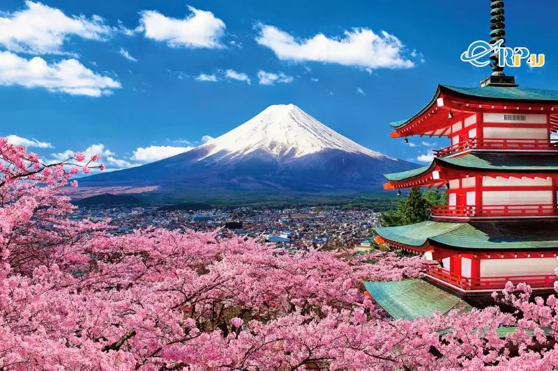 Du lịch Nhật Bản mùa nào đẹp nhất trong năm