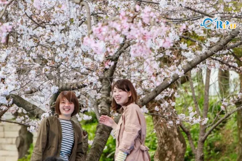 Mặc gì khi du lịch Nhật vào mùa xuân