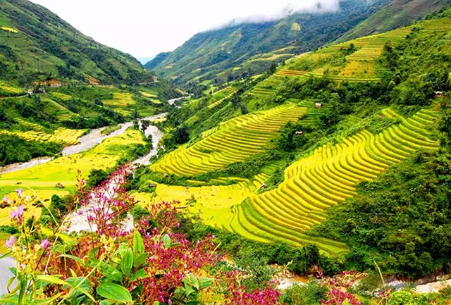 Tour Hà Nội - Ninh Bình - Sapa