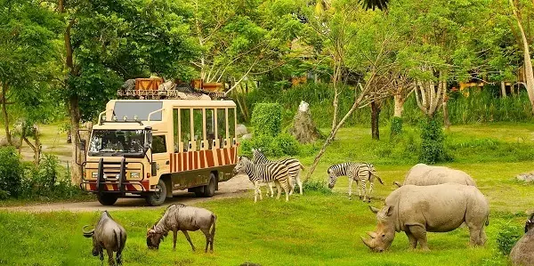 Vinpearl Safari Phú Quốc