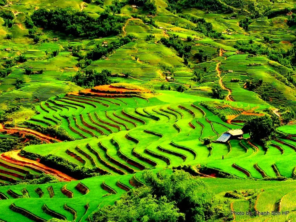 Tour Du Lịch Sapa Lễ 2/9/2024