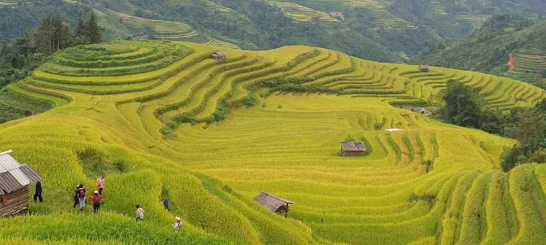 Mùa lúa chín tại Hà Giang