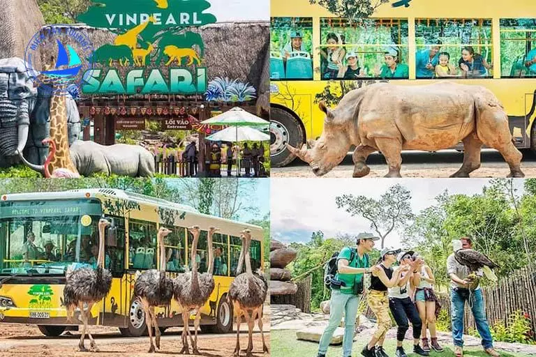 Tour du lịch Phú Quốc Vinpearl Safari