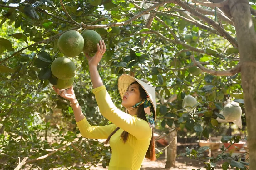 Hồ bơi tại Thảo Thiện Garden