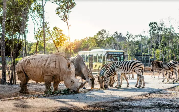 Tour Vinh Phú Quốc