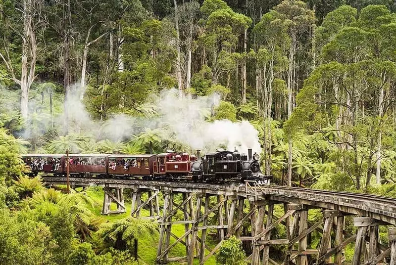 Tàu hơi nước Puffing Billy - Địa điểm khám phá thú vị dành cho đoàn tour du lịch Úc Melbourne Sydney