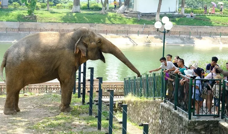 Đưa bé đi chơi công viên Thủ Lệ