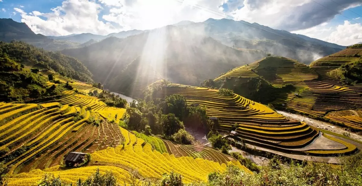 Ruộng Bậc Thang Mù Cang Chải