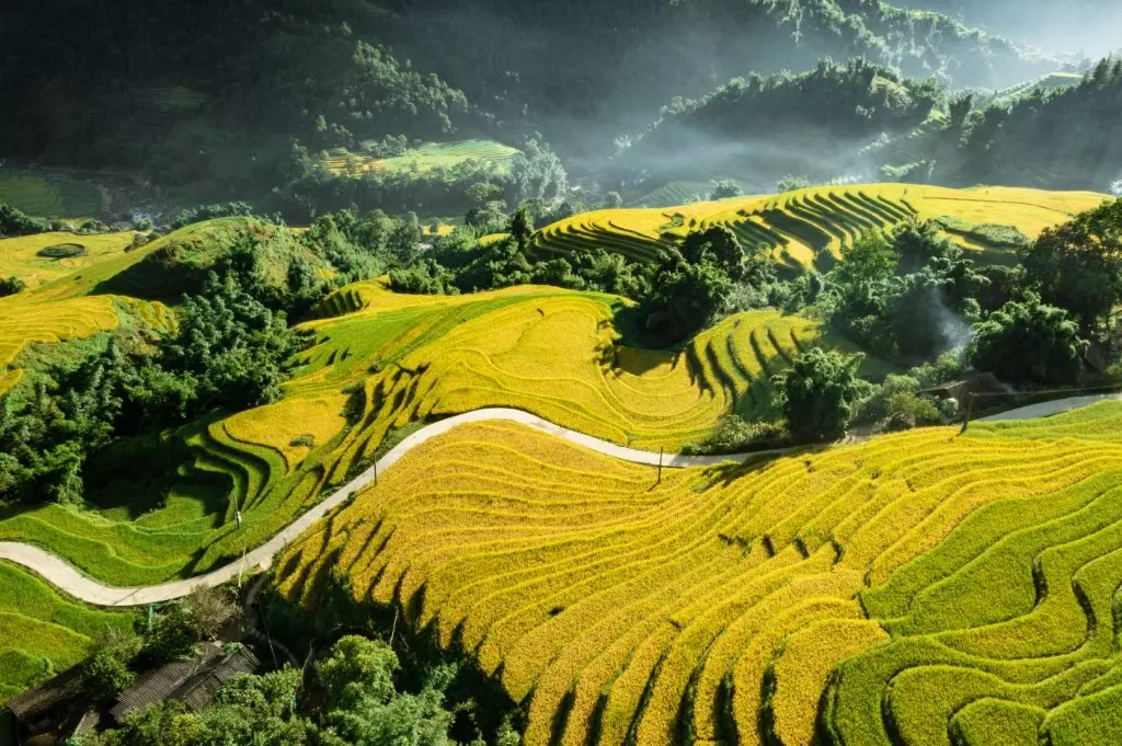 Ruộng Bậc Thang Sapa