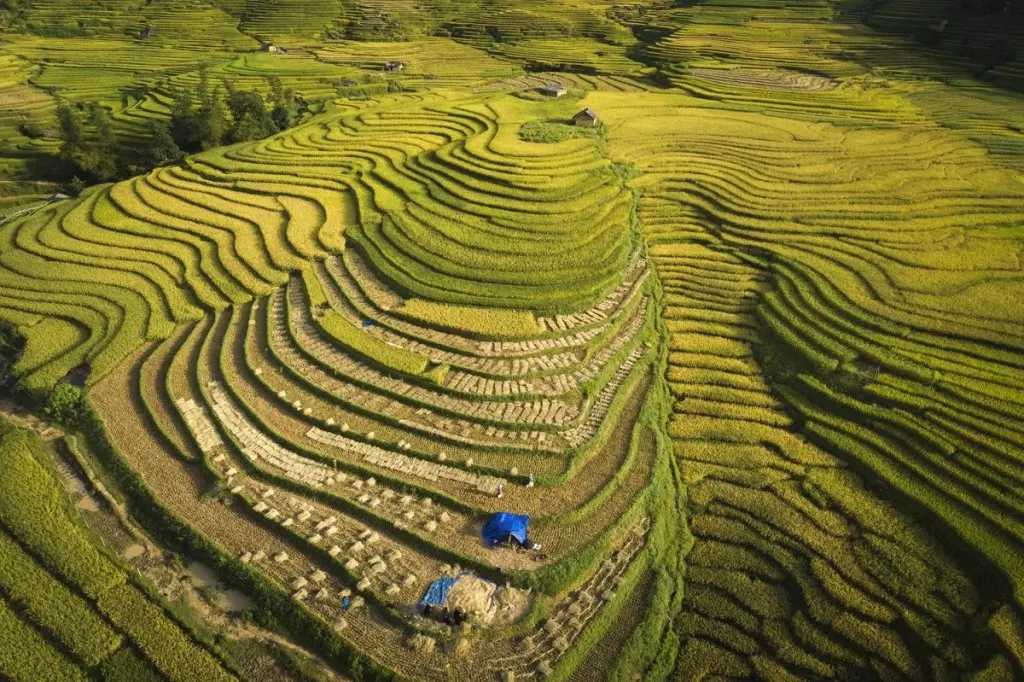 Ruộng Bậc Thang Y Tý