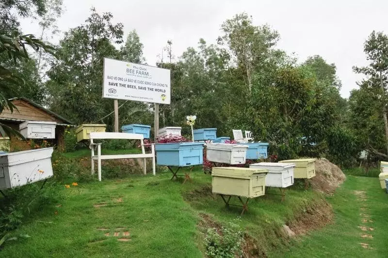 Trại nuôi mật ong