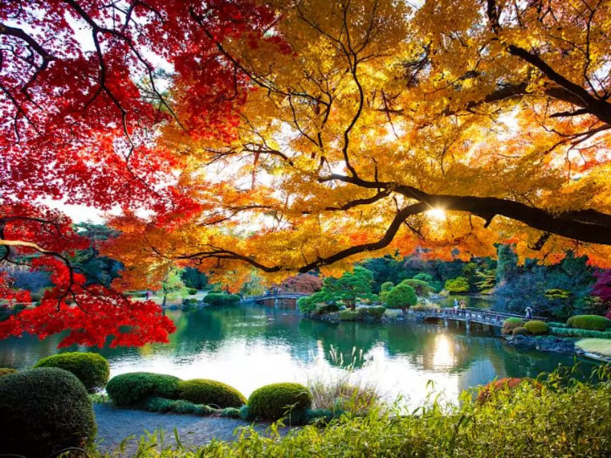 Nhật Bản trong tiết mùa thu mát mẻ