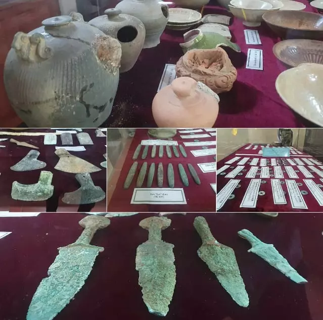 Một số hóa thạch được phát hiện và trưng bày tại chùa Nhẫm Dương có giá trị lịch sử lớn.