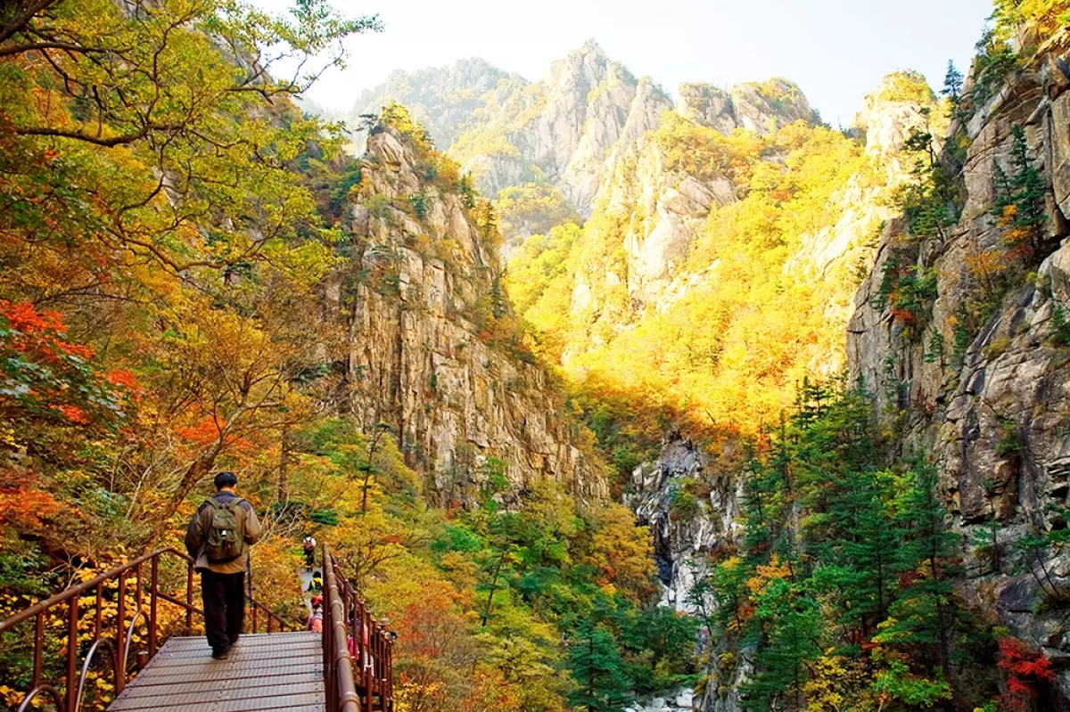 Tour du lịch Hàn Quốc 5 ngày 4 đêm