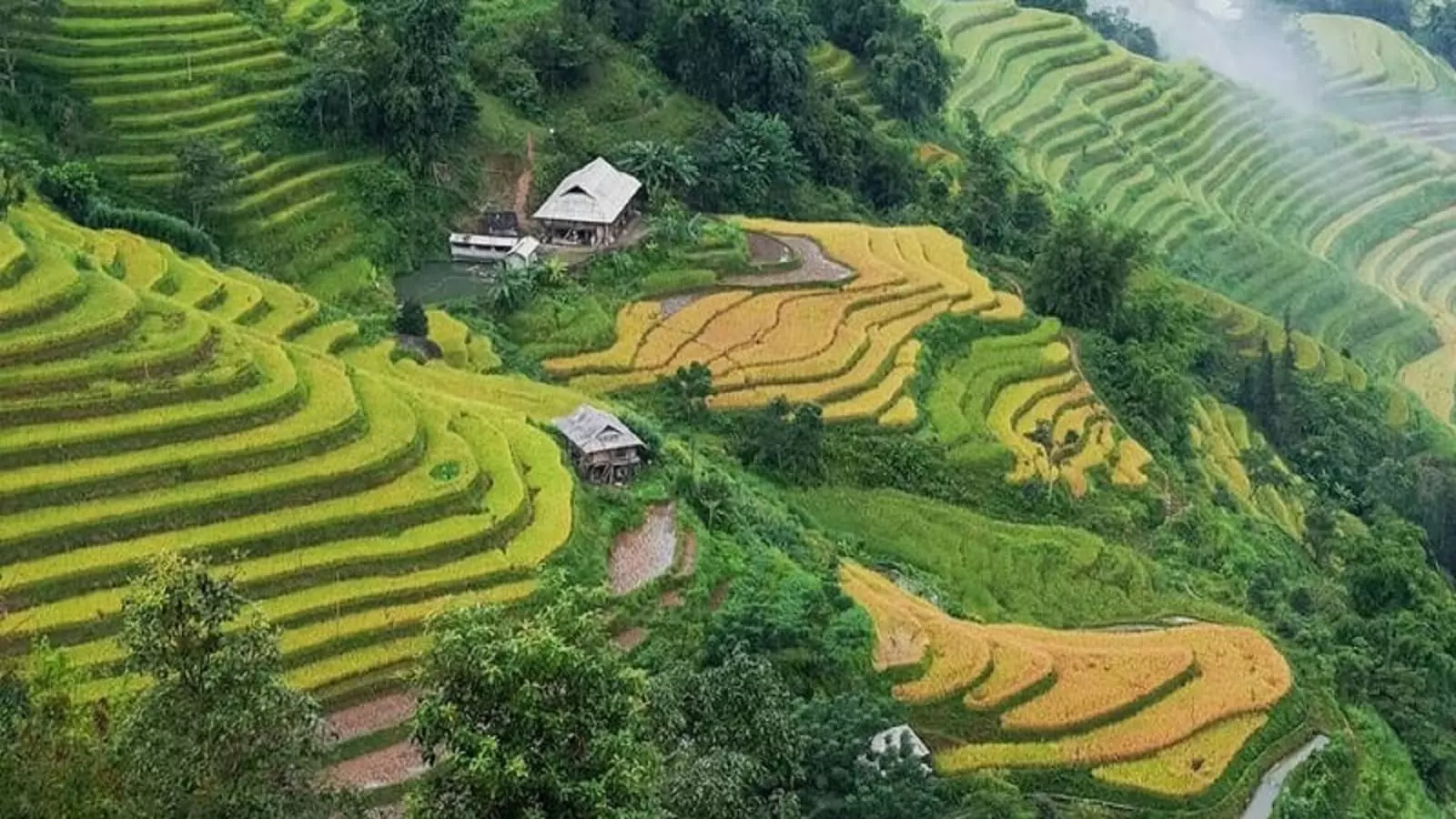 Ruộng bậc thang Hoàng Su Phì - Hà Giang