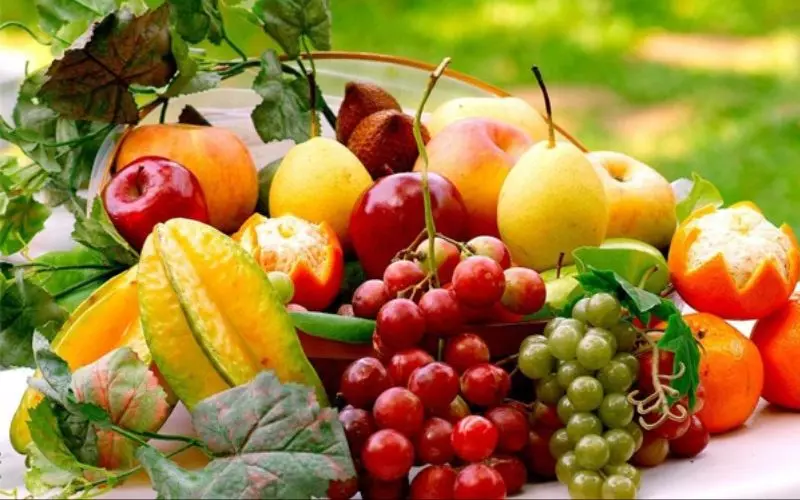 Trái cây cung cấp nhiều vitamin và khoáng chất