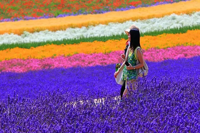 Chiêm ngưỡng ngàn sắc hoa tuyệt đẹp ở Nhật Bản mùa hè
