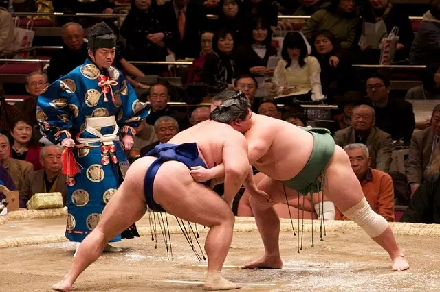 Hòa mình vào không khí nhộn nhịp của một trận đấu Sumo ở Nhật Bản