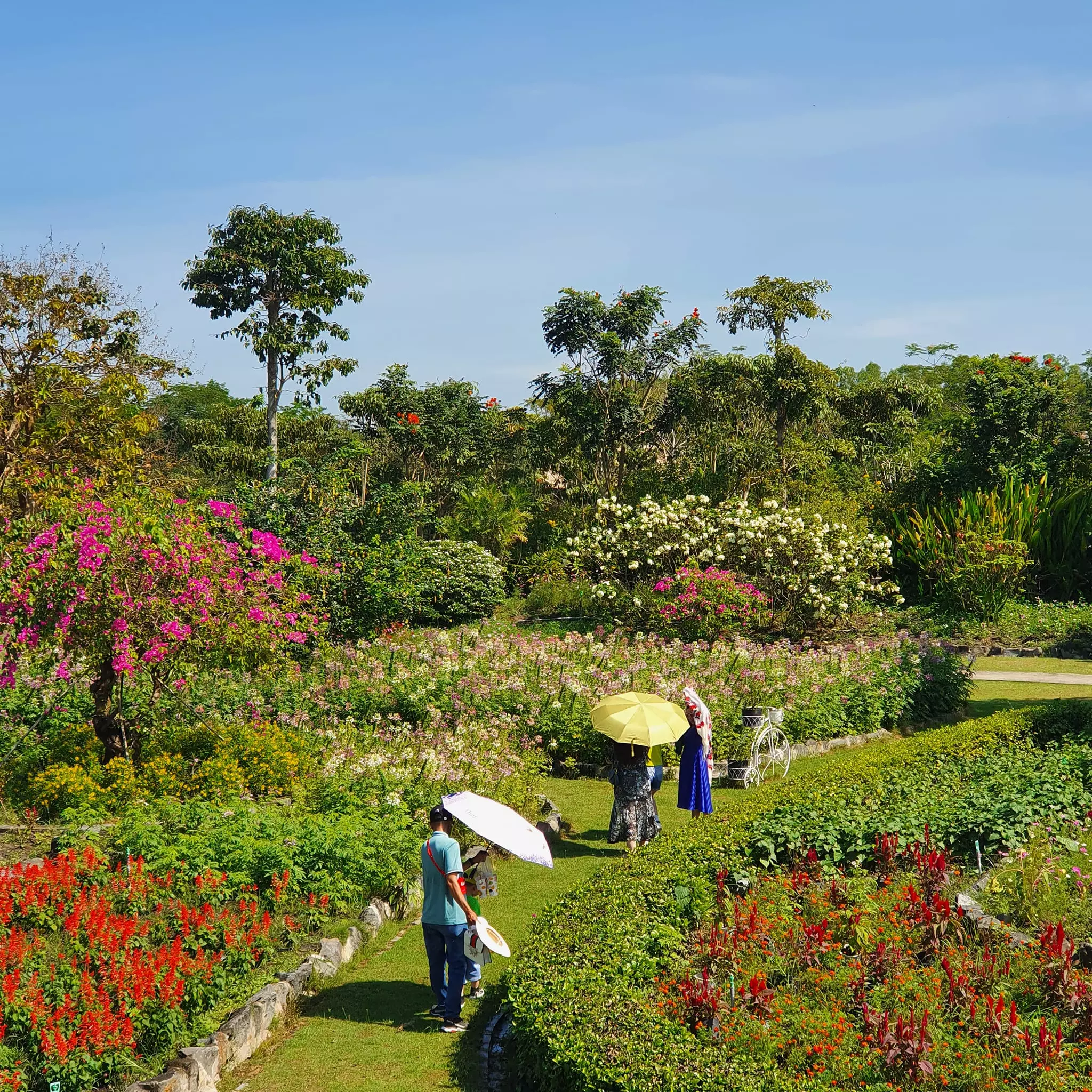 Khu vui chơi Chavi Garden