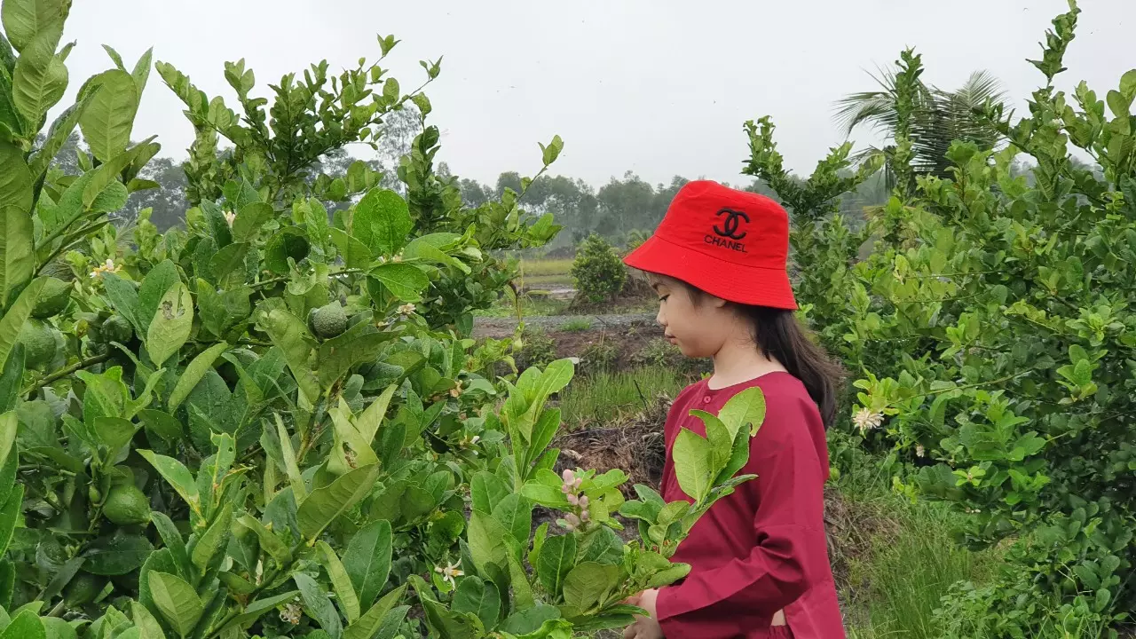 Khu vườn nghỉ ngơi Chavi Garden