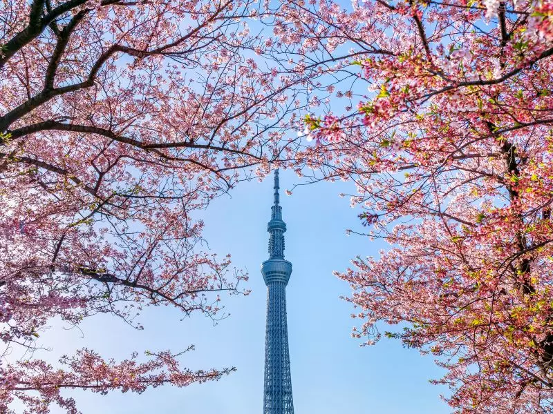 Tháp truyền hình Tokyo Skytree - Tour du lịch Nhật Bản 4 ngày 3 đêm