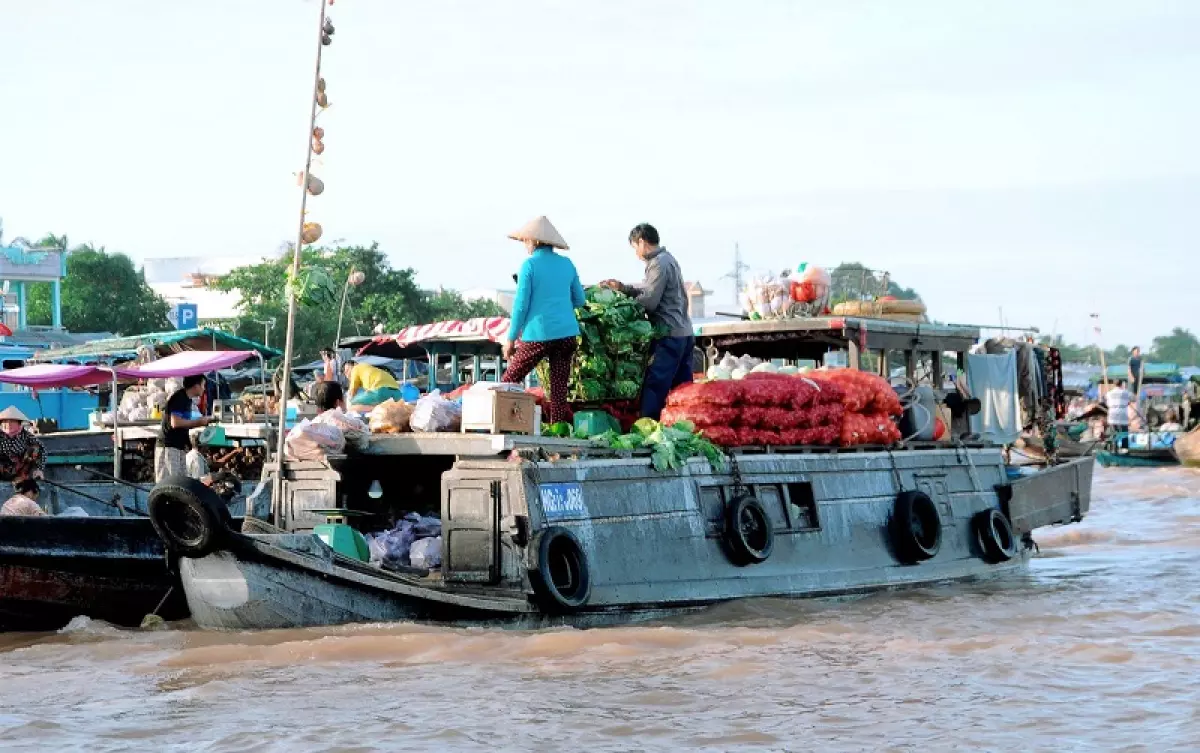 Vẻ đẹp của chợ nổi Cái Răng vào sáng sớm