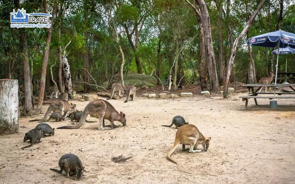 du-lich-uc-wildlife-park