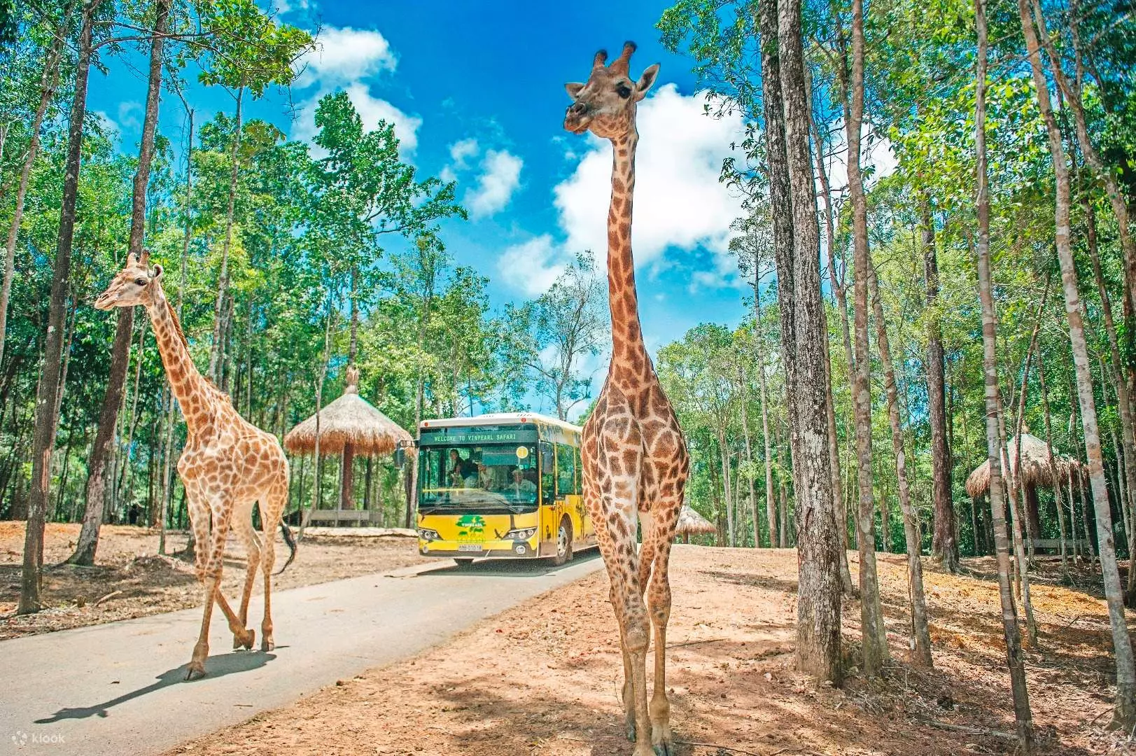 Safari Phú Quốc - căn nhà của động vật hoang dã