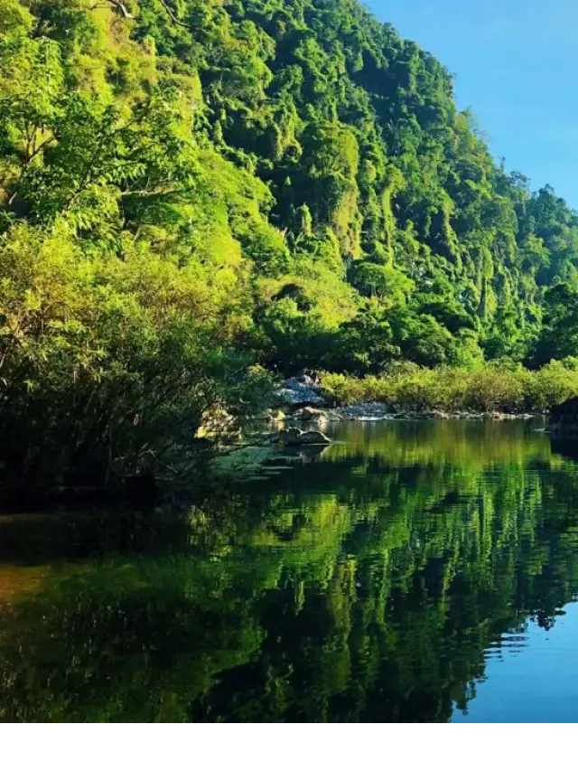   Kinh nghiệm du lịch Quảng Bình 4 ngày 3 đêm: Khám phá hoang sơ và hùng vĩ