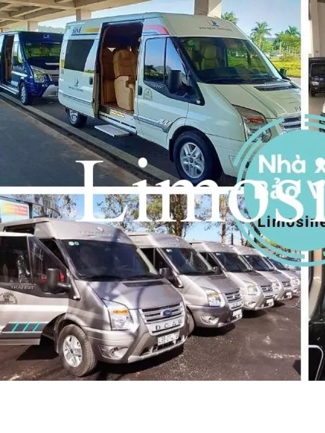   Nhà xe Bảo Vân - Điểm đến tuyệt vời từ Bảo Lộc đến Đà Lạt