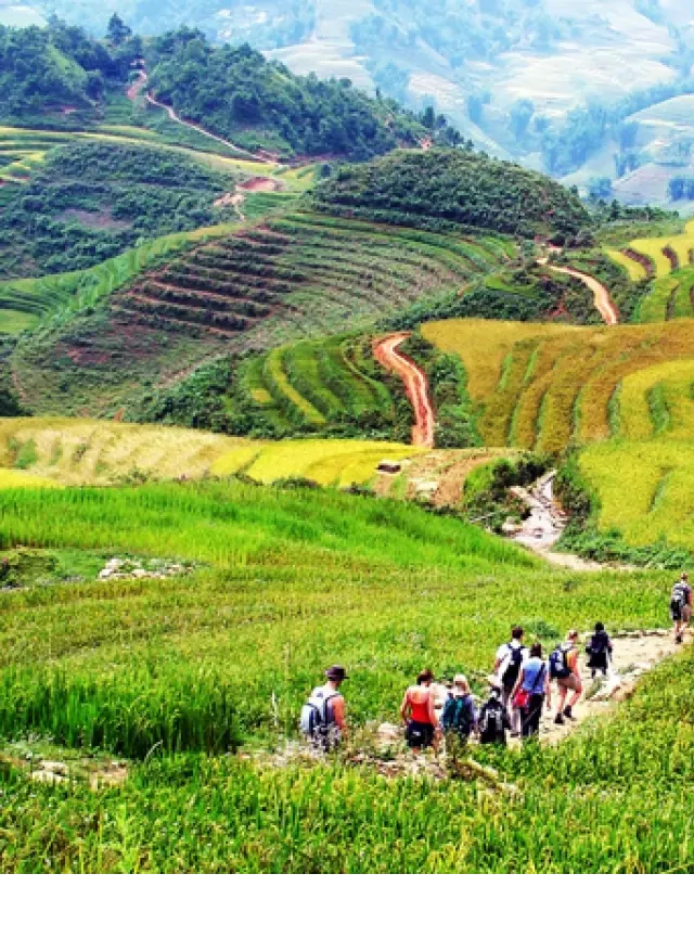   Tour du lịch Sapa từ Tp.HCM: Khám phá vẻ đẹp thiên nhiên và văn hóa độc đáo của Sapa