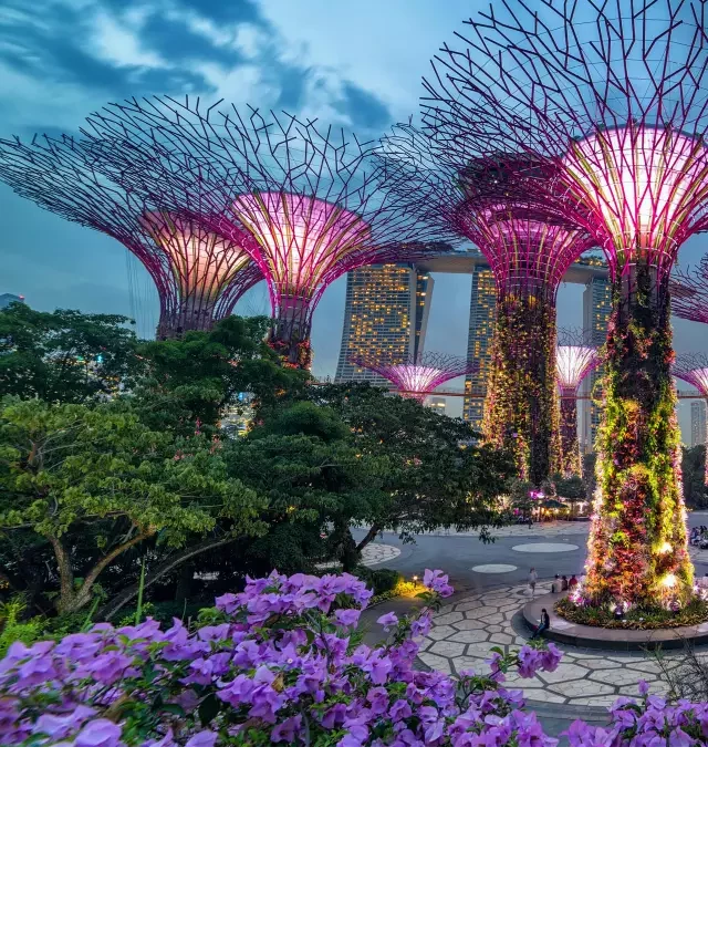   Tour Du Lịch Singapore - Malaysia 5 Ngày 4 Đêm